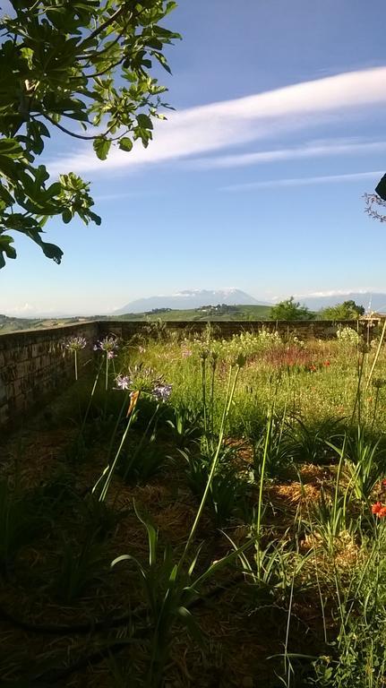 Agriturismo Castelli In Aria Atri Exterior foto