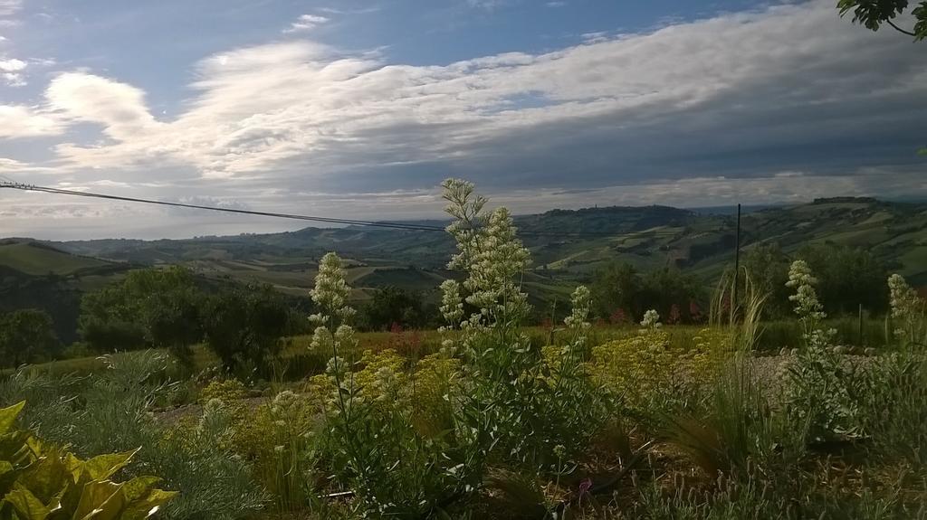 Agriturismo Castelli In Aria Atri Exterior foto